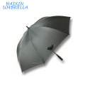 Assured Quality Sturdy Construction Good Offer Fiberglass Frame Plastic Top and Tips EVA handle No Metal Rain Umbrella